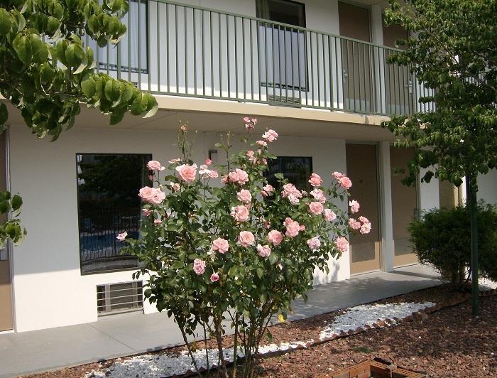Shelbyville Inn - Shelbyville, Tn 37160 מראה חיצוני תמונה