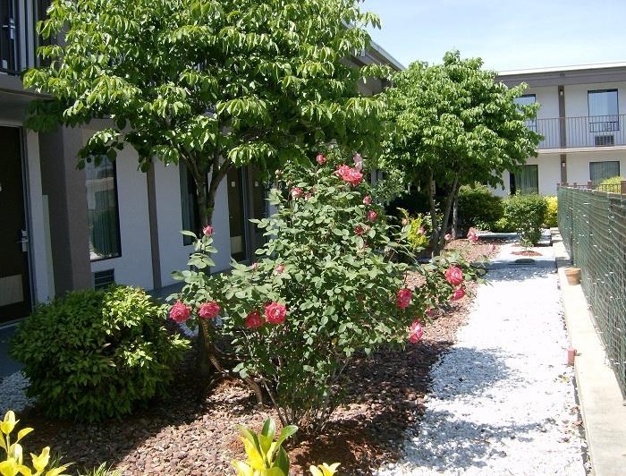 Shelbyville Inn - Shelbyville, Tn 37160 מראה חיצוני תמונה