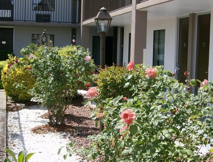 Shelbyville Inn - Shelbyville, Tn 37160 מראה חיצוני תמונה